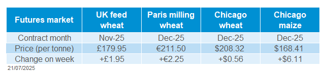 Global grains 21 07 202572.png